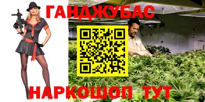 a pvp Гатчина