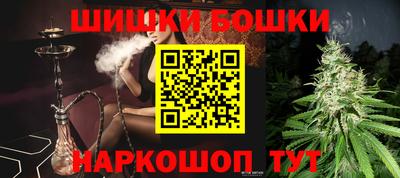 a pvp Гатчина
