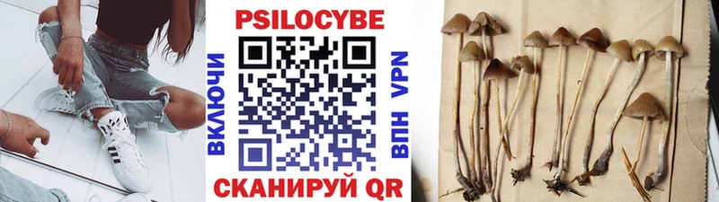 Галлюциногенные грибы Magic Shrooms  Минусинск 
