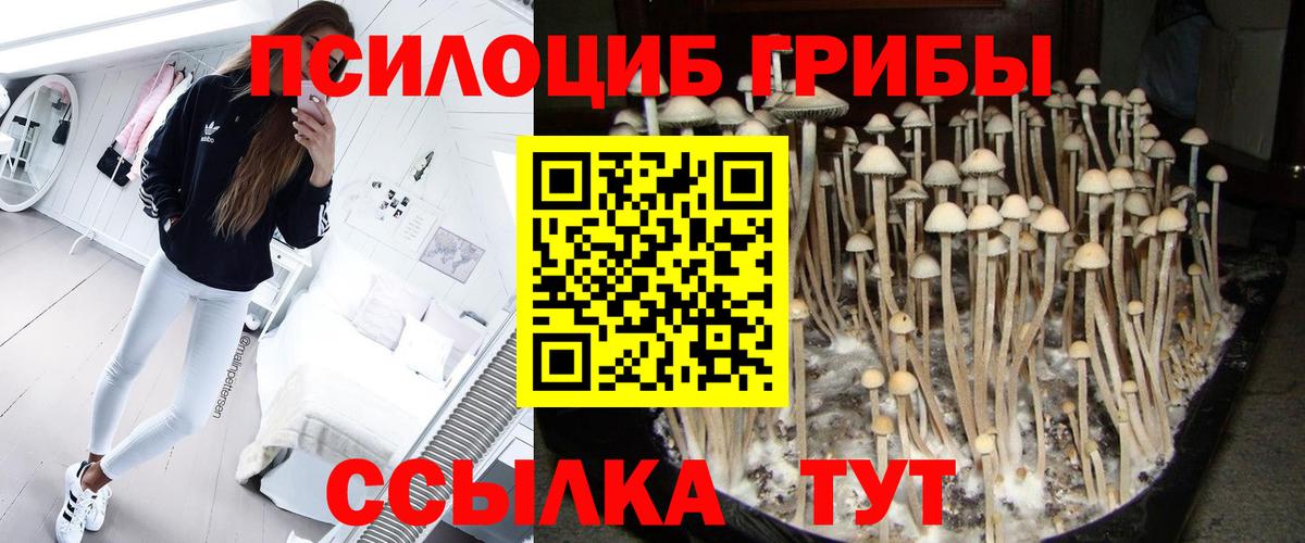 Псилоцибиновые грибы ЛСД Минусинск