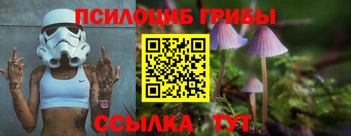 Галлюциногенные грибы Psilocybine cubensis  Минусинск 